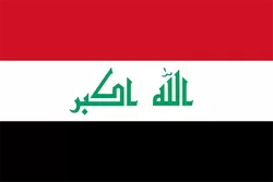 伊拉克 战队徽标